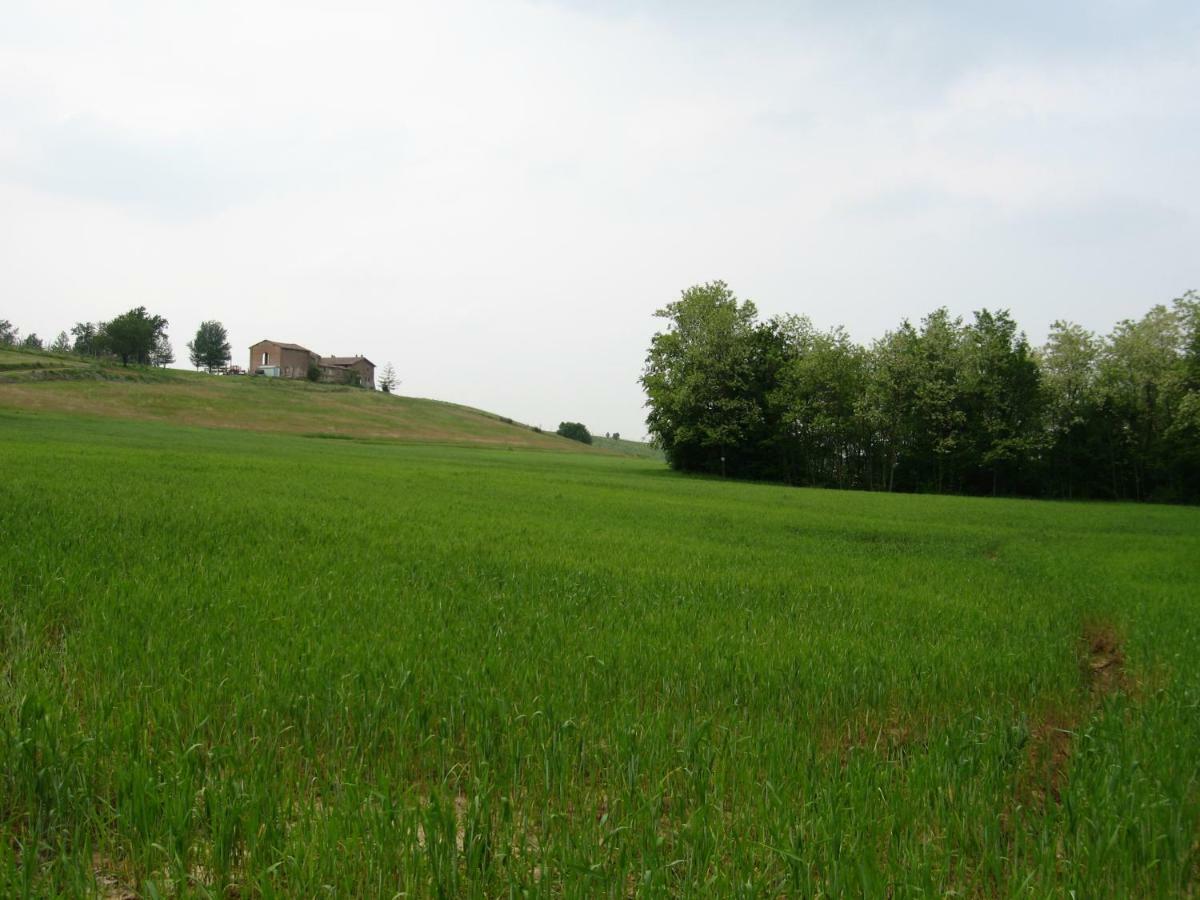 Agriturismo Ca' Preda Villa San Giorgio Piacentino Exterior photo
